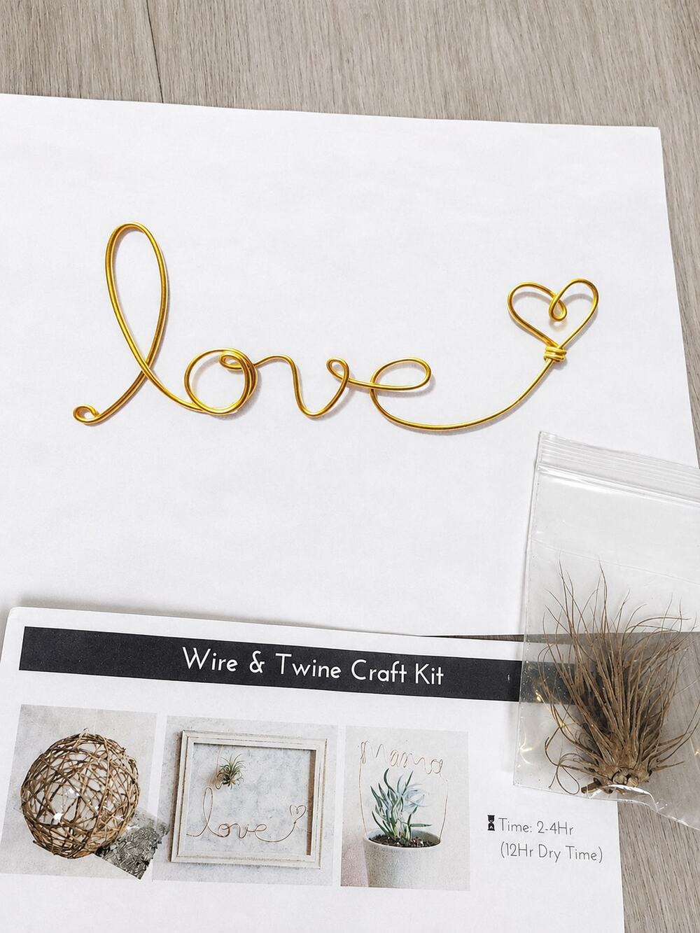 Adults & Crafts Wire & Twine DIY Kit Air Plant Frame Lighted Orb
